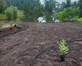 Vejos įrengimas,gėlynų projektavimas, įrengimas / Arturas M. / Darbų pavyzdys ID 3175773