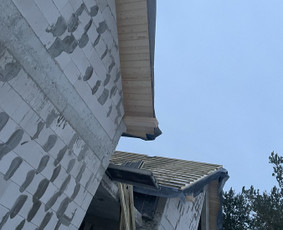 Visi statybos darbai / UAB LTSG / Darbų pavyzdys ID 3178339