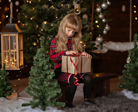 Kalėdinė fotosesija - Fotografijos paslaugos - 1