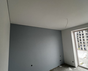 Dažymas/glaistymas, pilnas vidaus įrengimas / DOMIREMA / Darbų pavyzdys ID 3178735