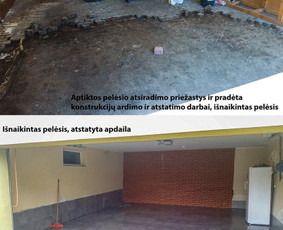 Pelėsio ir medžio grybo "Trobagrybio" naikinimas, šalinimas / PelėsioNaikinimasSalinimas.lt / Darbų pavyzdys ID 3179383