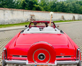 Automobilių nuoma vestuvėms Klaipėdoje. Visa Lietuva / Automobilių nuoma su vairuotoju / Darbų pavyzdys ID 3181353