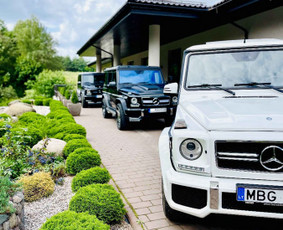 Automobilių nuoma vestuvėms Klaipėdoje. Visa Lietuva / Automobilių nuoma su vairuotoju / Darbų pavyzdys ID 3181355