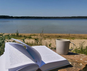 Mokymai, kursai, kalbos - Individualios lietuvių kalbos pamokos - 1