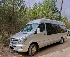 Keleivių pervežimai , oro uostas, pervežimas tarp miestų Vip / VIP pervežimai / Darbų pavyzdys ID 3184657