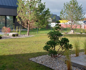 Aplinkos projektai, 3d vizualizacijos, apželdinimas / žiedų gama / Darbų pavyzdys ID 3185257