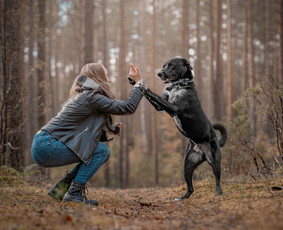 Profesionali fotografija. / Aliona Avižinienė / Darbų pavyzdys ID 3185405