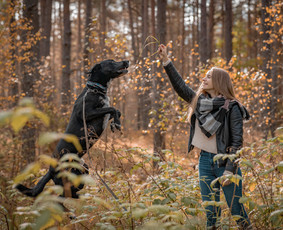 Profesionali fotografija. / Aliona Avižinienė / Darbų pavyzdys ID 3185433