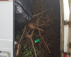 Senu baldu išvežimas,griovimo darbai,perkraustymo paslaugos / Mindaugas / Darbų pavyzdys ID 3186375