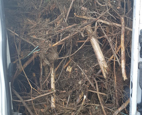 Senu baldu išvežimas,griovimo darbai,perkraustymo paslaugos - Šakų išvežimas - 1 Šakų išvežimas - Senu baldu išvežimas,griovimo darbai,perkraustymo paslaugos - 1