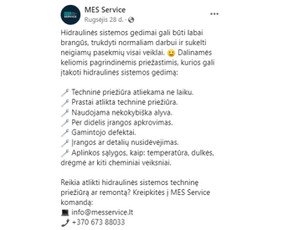 Socialinių tinklų ir Meta Ads administravimas / Paulina / Darbų pavyzdys ID 3187077