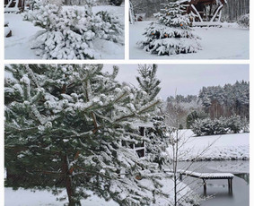 Kaimo turizmo sodybos - Sodyba nuomai - 4