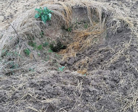 Drenažas. Melioracija. Lietus. Kanalizacija.el. Žemes darbai / Zilva / Darbų pavyzdys ID 3189365