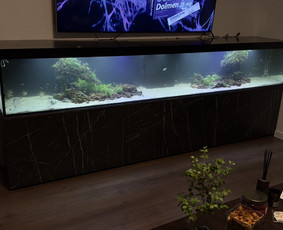Akvariumų gamyba / Artūras Skirmontas / Darbų pavyzdys ID 3189571