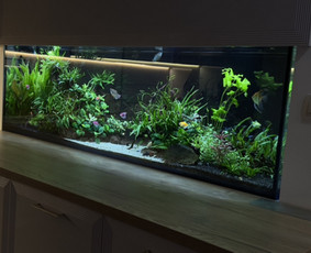 Akvariumų gamyba / Artūras Skirmontas / Darbų pavyzdys ID 3189587