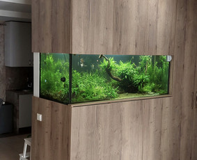 Akvariumų gamyba / Artūras Skirmontas / Darbų pavyzdys ID 3189593