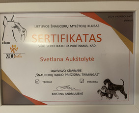 Šunų kirpykla / Svetlana Aukštolytė / Darbų pavyzdys ID 3192441