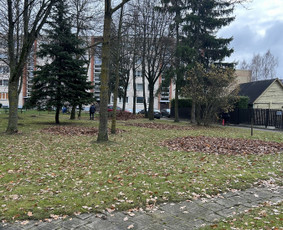 Laiptinių Valymas. Langų valymas , visos valymo paslaugos / ŠVAROS INVAZIJA / Darbų pavyzdys ID 3192545