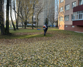 Laiptinių Valymas. Langų valymas , visos valymo paslaugos / ŠVAROS INVAZIJA / Darbų pavyzdys ID 3192547