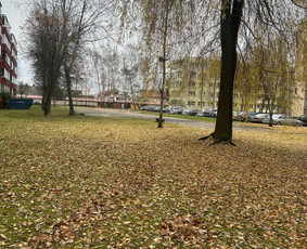 Laiptinių Valymas. Langų valymas , visos valymo paslaugos / ŠVAROS INVAZIJA / Darbų pavyzdys ID 3192551