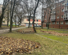 Laiptinių Valymas. Langų valymas , visos valymo paslaugos / ŠVAROS INVAZIJA / Darbų pavyzdys ID 3192553