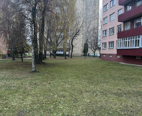 Laiptinių Valymas. Langų valymas , visos valymo paslaugos / ŠVAROS INVAZIJA / Darbų pavyzdys ID 3192555