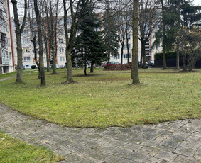 Laiptinių Valymas. Langų valymas , visos valymo paslaugos / ŠVAROS INVAZIJA / Darbų pavyzdys ID 3192557