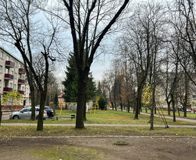 Laiptinių Valymas. Langų valymas , visos valymo paslaugos / ŠVAROS INVAZIJA / Darbų pavyzdys ID 3192559