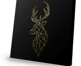 Grafikos dizainas, logotipai, maketavimas, vizualai / Linas Masiukas / Darbų pavyzdys ID 3194159