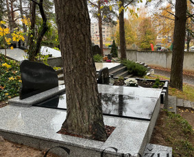 Kapų Meistras Edvinas Genutis - Kapų Tvarkymas, Paminklai / Edvinas Genutis / Darbų pavyzdys ID 3195640