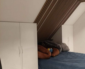 Patyręs meistras gamina nestandartinius korpusinius baldus - Miegamojo baldų gamyba - 1 Miegamojo baldų gamyba - Patyręs meistras gamina nestandartinius korpusinius baldus - 1