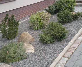 Apželdinimas, Projektavimas, Genėjimas, Vejos / AugalųGanytojai/V. Paičius / Darbų pavyzdys ID 3199558