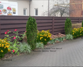 Apželdinimas, Projektavimas, Genėjimas, Vejos / AugalųGanytojai/V. Paičius / Darbų pavyzdys ID 3199606