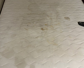 Buto valymas po nuomininkų - Postatybinis, poremontinis, generalinis namų/ofisų valymas - 4