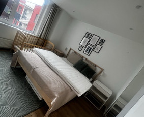 Baldų valymas - Postatybinis, poremontinis, generalinis namų/ofisų valymas - 3