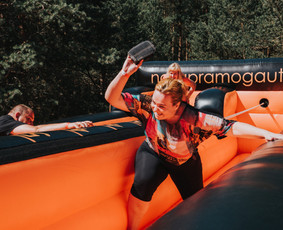 Pramogos ir žaidimai / Pramogos ir žaidimai / Darbų pavyzdys ID 3202426