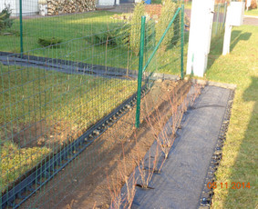 Apželdinimas, Projektavimas, Genėjimas, Vejos / AugalųGanytojai/V. Paičius / Darbų pavyzdys ID 3203552