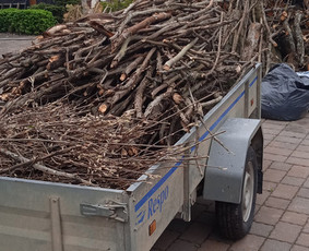 Apželdinimas, Projektavimas, Genėjimas, Vejos - Aplinkos tvarkymas, apželdinimas - 3 Aplinkos tvarkymas, apželdinimas - Apželdinimas, Projektavimas, Genėjimas, Vejos - 3