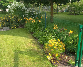 Apželdinimas, Projektavimas, Genėjimas, Vejos - Aplinkos tvarkymas, apželdinimas - 1 Aplinkos tvarkymas, apželdinimas - Apželdinimas, Projektavimas, Genėjimas, Vejos - 1