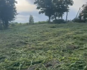 Pavojingu medžiu pjovimas, sklypų valymas, šakų išvežimas / Vytautas Tveraga / Darbų pavyzdys ID 3203668