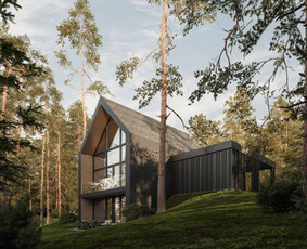Gyvenamųjų namų projektavimas / UAB "Origami architektai" / Darbų pavyzdys ID 3204390