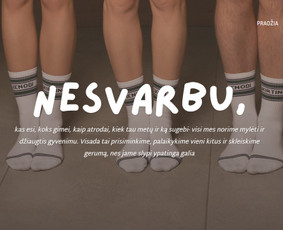Interneto svetainių kūrimas, e-shop, Seo optimizacija / Tomas Bagačiūnas / Darbų pavyzdys ID 3207884