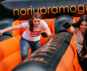 Pramogos ir žaidimai / Pramogos ir žaidimai / Darbų pavyzdys ID 3208814