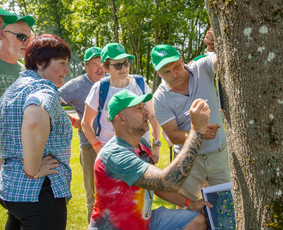 Veiklų organizavimas įmonėms / veiklų organizavimas įmonėms / Darbų pavyzdys ID 3209556