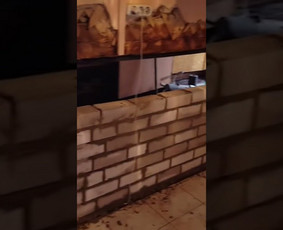 Pelėsio ir medžio grybo "Trobagrybio" naikinimas, šalinimas / PelėsioNaikinimasSalinimas.lt / Darbų pavyzdys ID 3209706