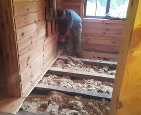 Pelėsio ir medžio grybo "Trobagrybio" naikinimas, šalinimas / PelėsioNaikinimasSalinimas.lt / Darbų pavyzdys ID 3209718