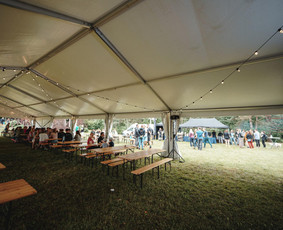 Renginių organizavimas įmonėms / Veiklų organizavimas įmonėms. / Darbų pavyzdys ID 3211838