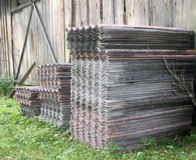 Griovimo darbai šiukšliu išvežimas / Audrius / Darbų pavyzdys ID 3217220