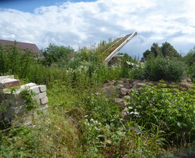 Griovimo darbai šiukšliu išvežimas / Audrius / Darbų pavyzdys ID 3217228