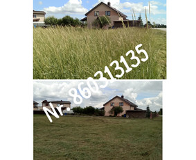 Medžių genėjimas*gyvatvorių karpymas*aplinkos tvarkymas / Zigmas / Darbų pavyzdys ID 3218278